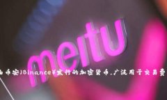 在TP Wallet中，BNB（币安币