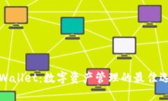 TPWallet：数字资产管理的最
