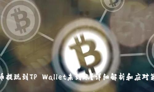 火币提现到TP Wallet未到账？详细解析和应对策略
