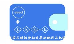 我国区块链金融发展的挑