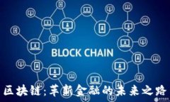   区块链：革新金融的未来