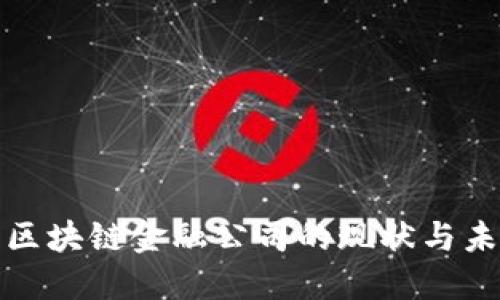 湖北省区块链金融公司的现状与未来发展