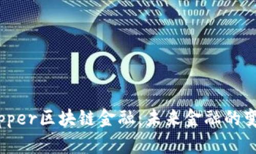 揭秘Zipper区块链金融：未来金融的变革之路