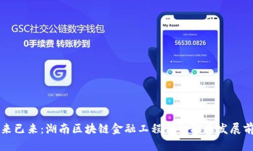 未来已来：湖南区块链金融工程师的职业发展前景