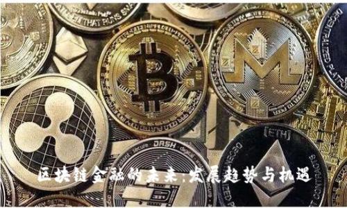 区块链金融的未来：发展趋势与机遇