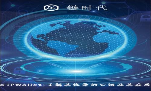  揭秘TPWallet：了解其收录的公链及其应用前景