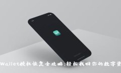 TPWallet授权恢复全攻略：轻