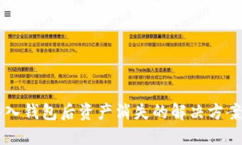 TPWallet导入钱包后资产消失的解决方案与经验分享