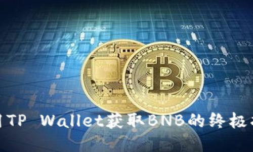 使用TP Wallet获取BNB的终极指南