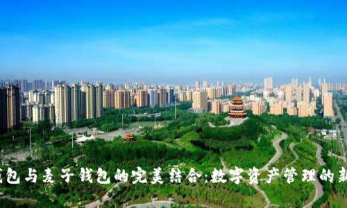 tp 钱包与麦子钱包的完美结合：数字资产管理的新选择
