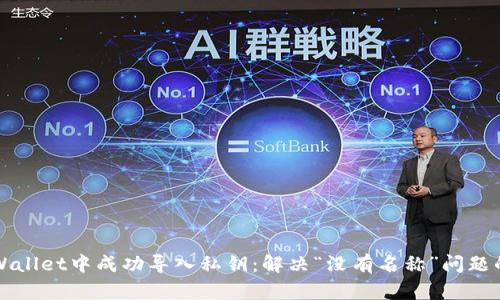 如何在TPWallet中成功导入私钥：解决“没有名称”问题的详细指南
