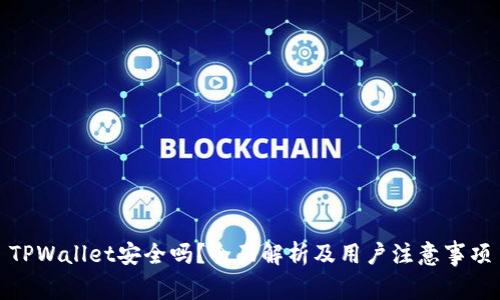 TPWallet安全吗？全面解析及用户注意事项
