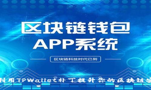 如何利用TPWallet补丁提升你的区块链安全性
