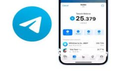 关于“tpwallet”的价格问题