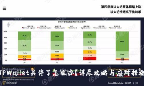 TPWallet关停了怎么办？详尽攻略与应对措施