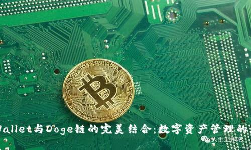 TPWallet与Doge链的完美结合：数字资产管理的未来