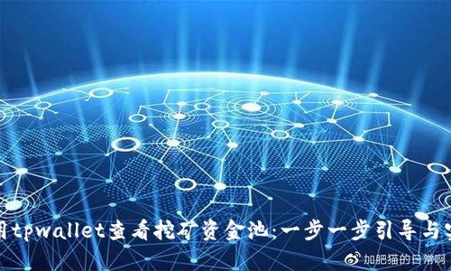 如何使用tpwallet查看挖矿资金池：一步一步引导与实用技巧
