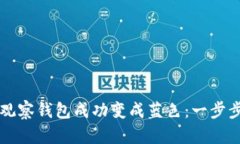 如何将TP观察钱包成功变成