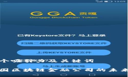 创建一个吸引力及关键词

探索中国区块链金融公司的未来与挑战